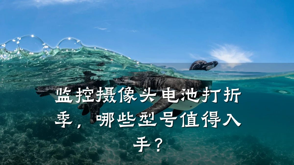 监控摄像头电池打折季,哪些型号值得入手?