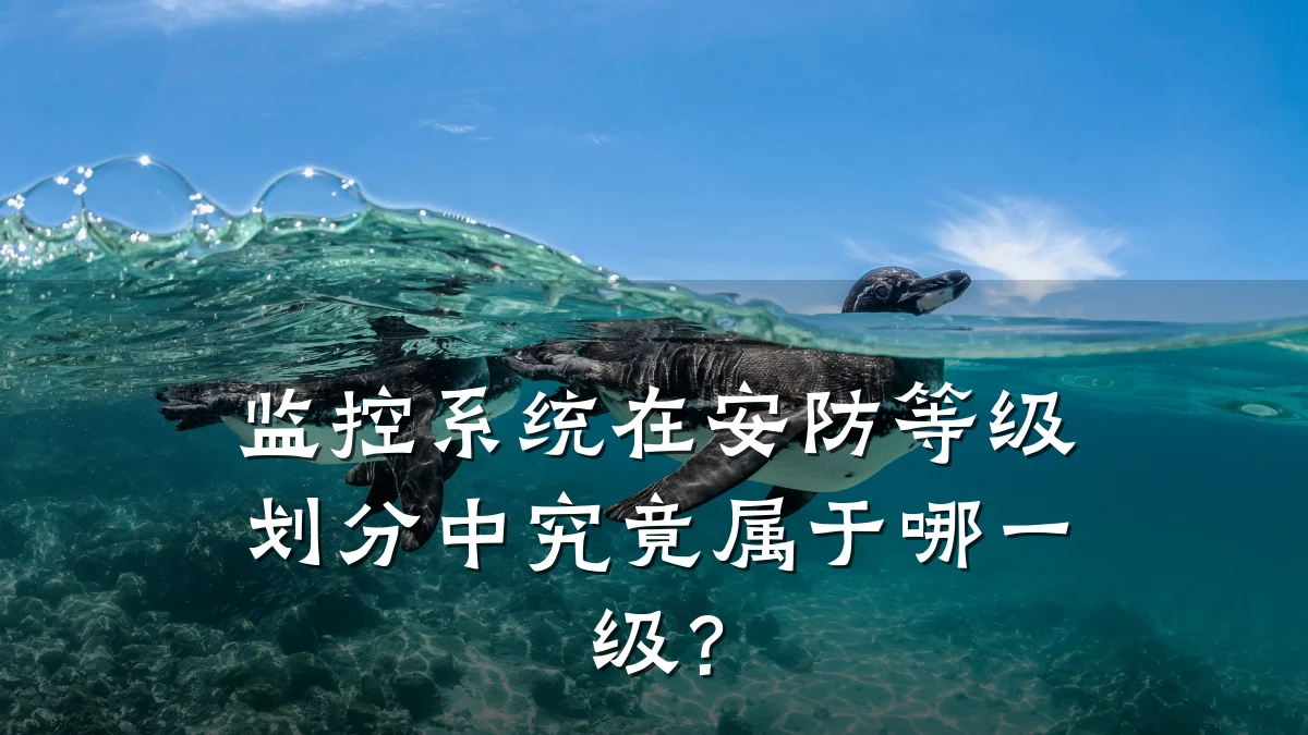 监控系统在安防等级划分中究竟属于哪一级?