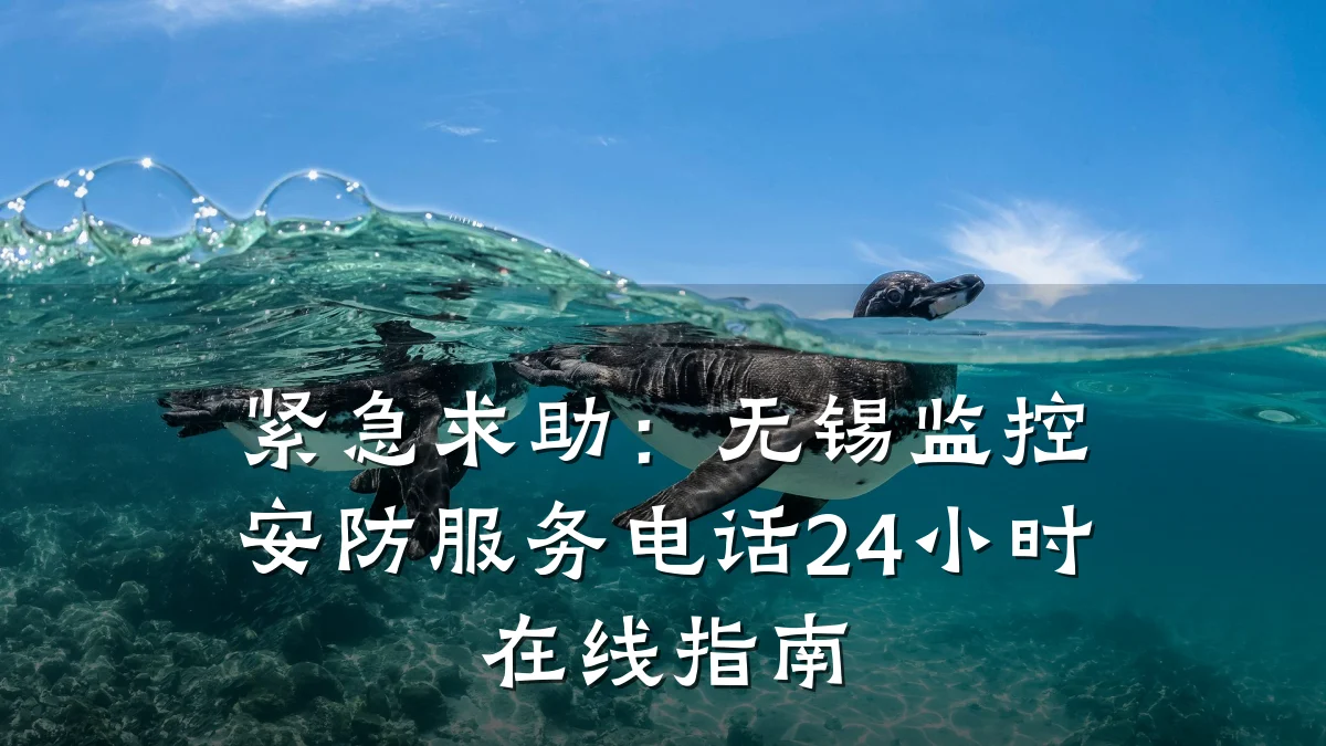 紧急求助:无锡监控安防服务电话24小时在线指南