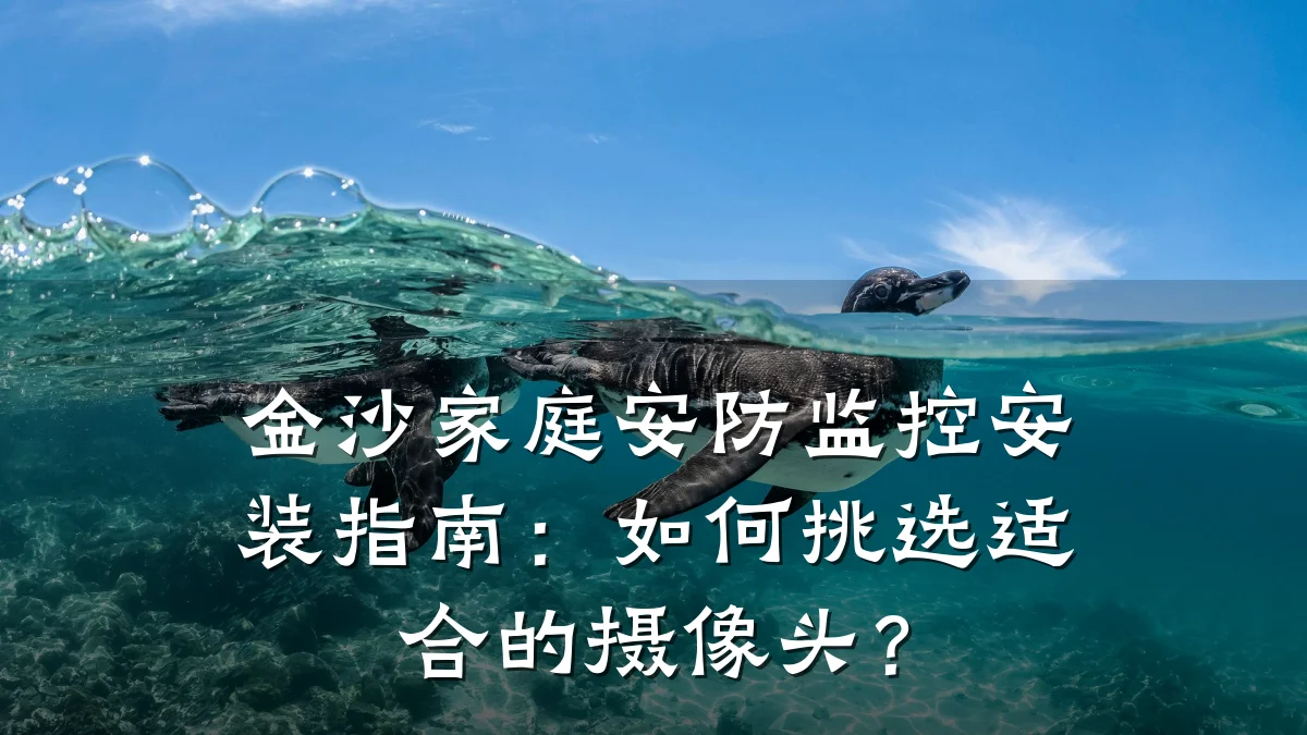 金沙家庭安防监控安装指南:如何挑选适合的摄像头?