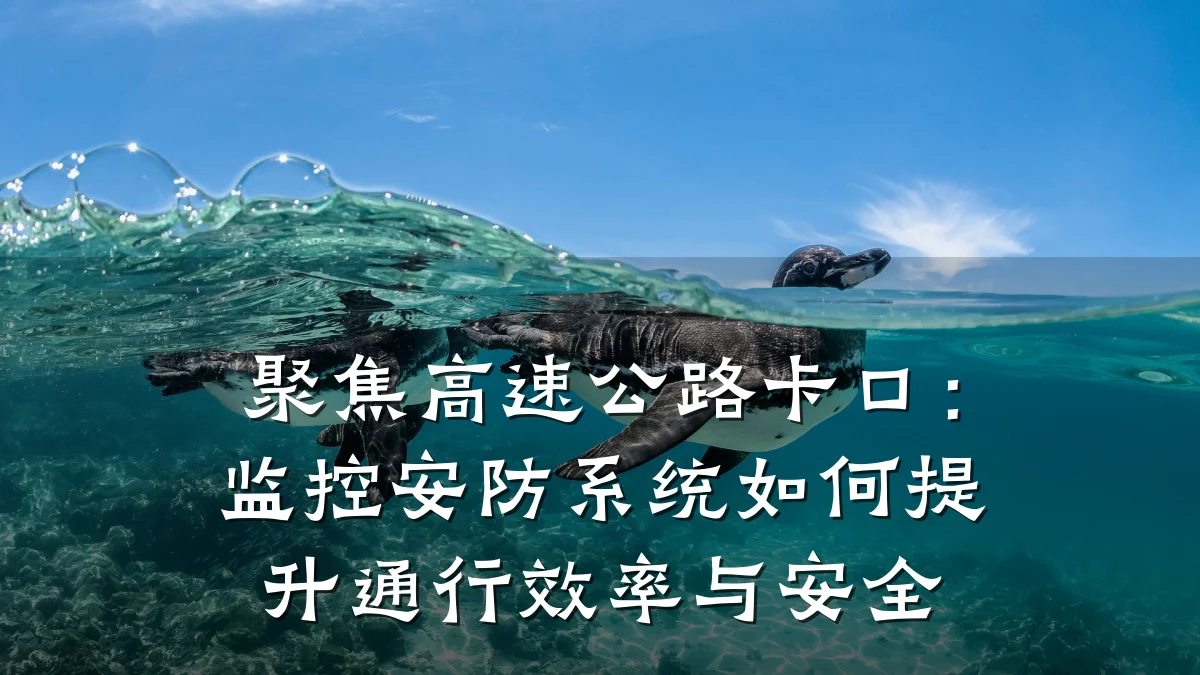 聚焦高速公路卡口:监控安防系统如何提升通行效率与安全