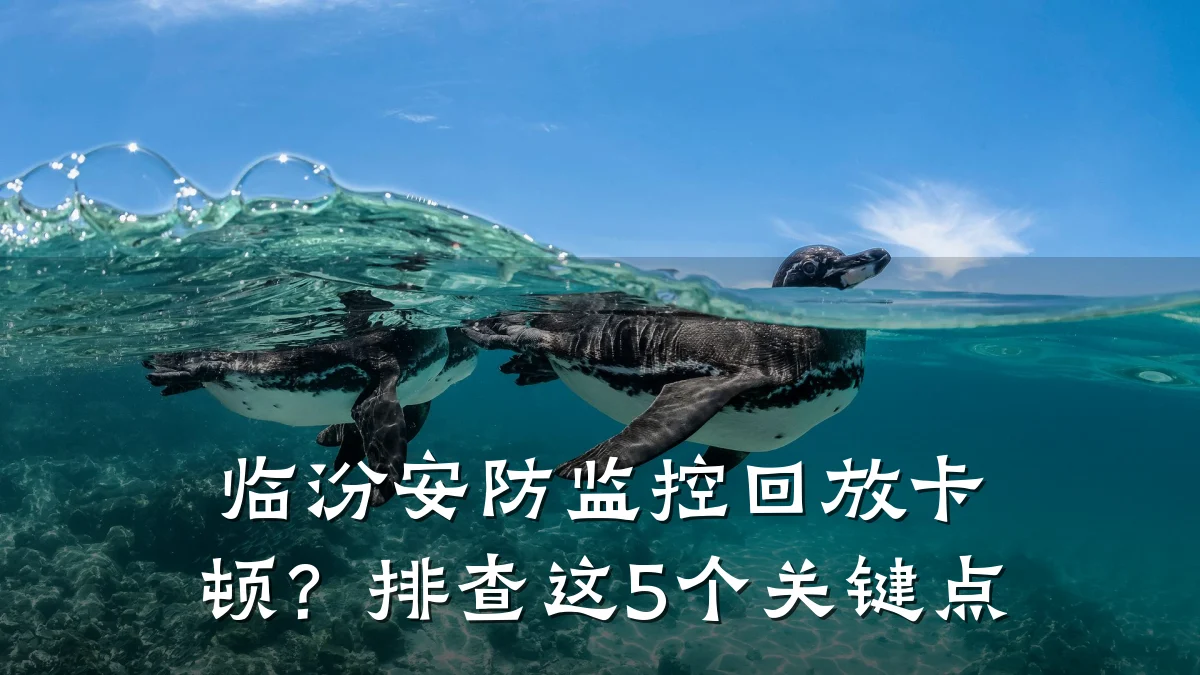 临汾安防监控回放卡顿?排查这5个关键点