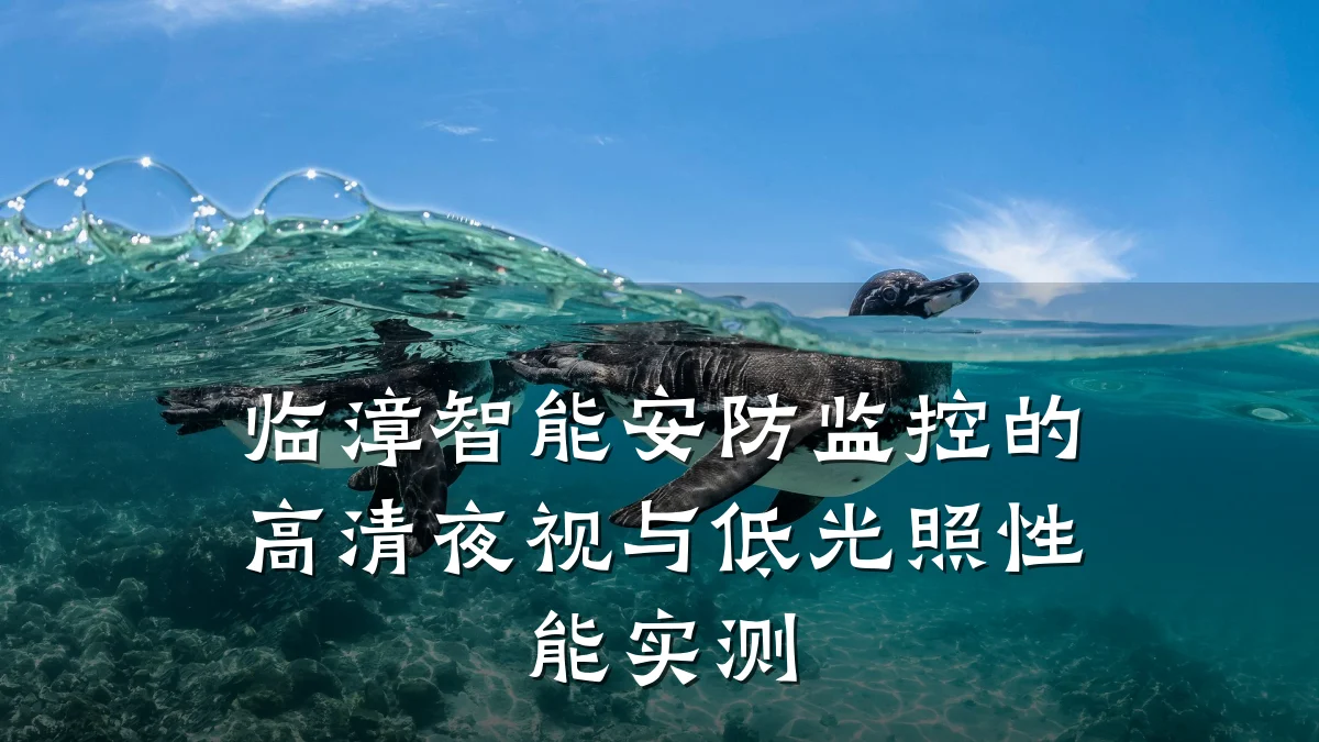 临漳智能安防监控的高清夜视与低光照性能实测