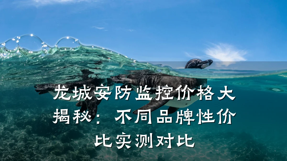 龙城安防监控价格大揭秘:不同品牌性价比实测对比