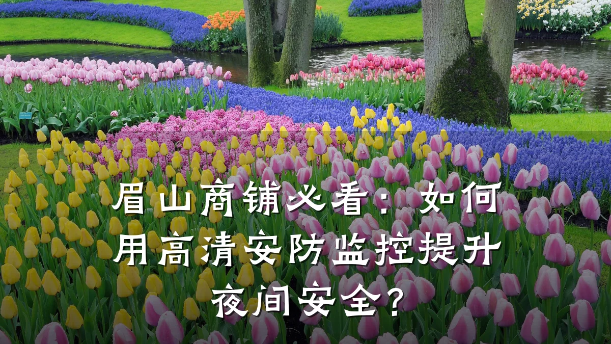眉山商铺必看:如何用高清安防监控提升夜间安全?
