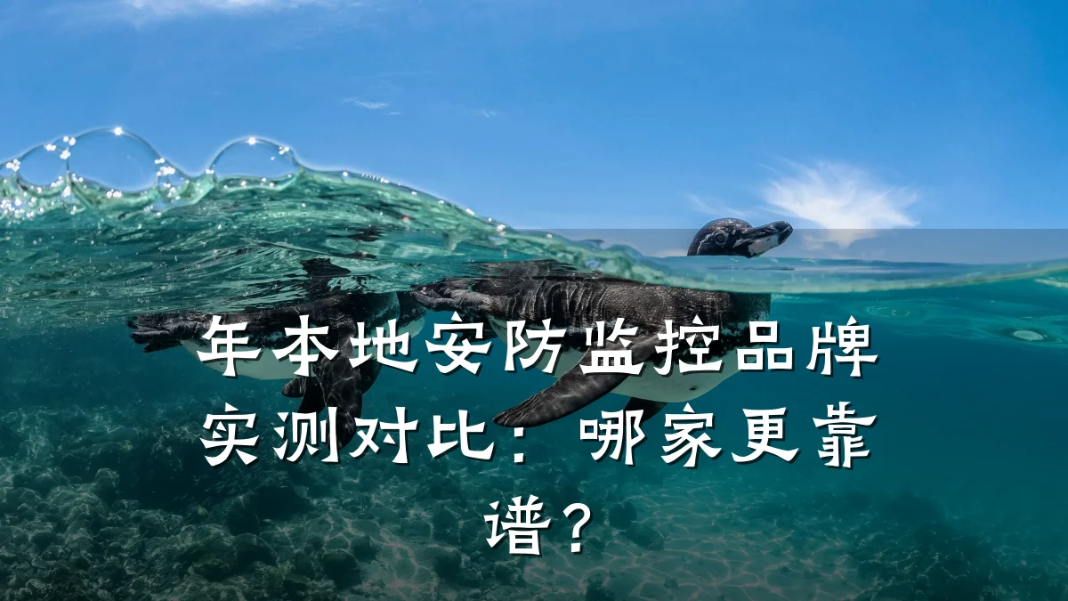 年本地安防监控品牌实测对比:哪家更靠谱?