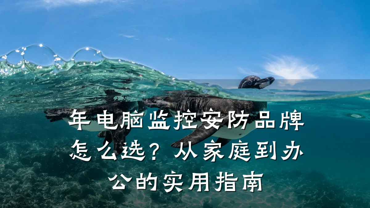 年电脑监控安防品牌怎么选?从家庭到办公的实用指南
