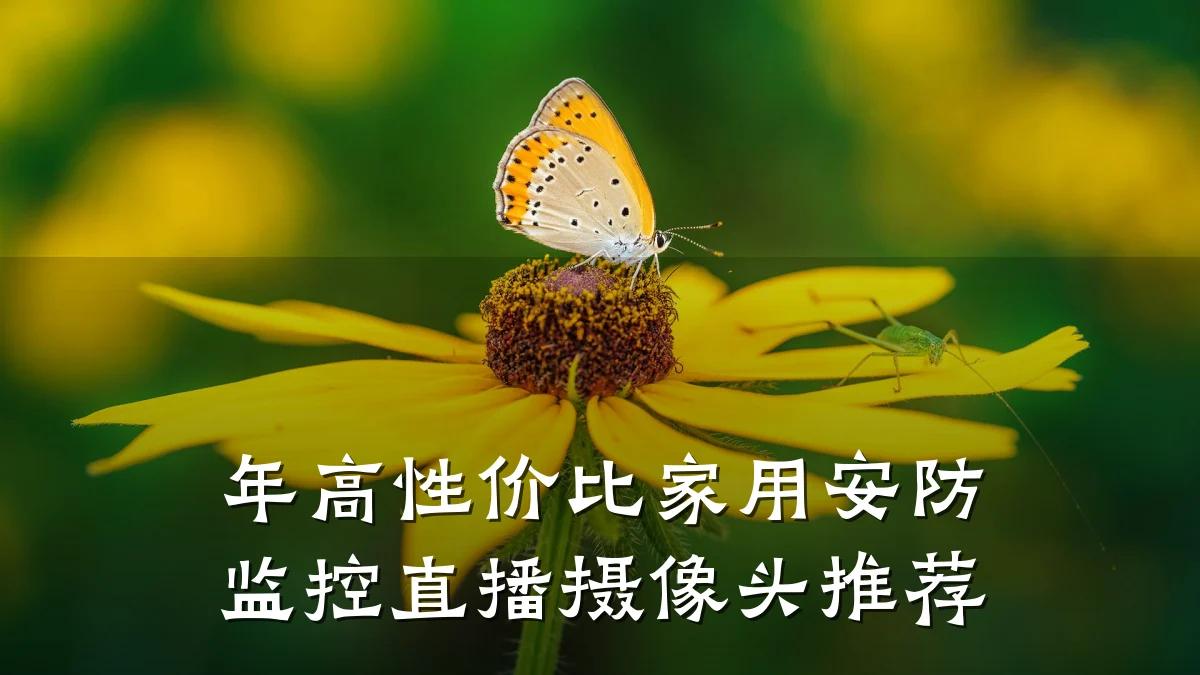 年高性价比家用安防监控直播摄像头推荐