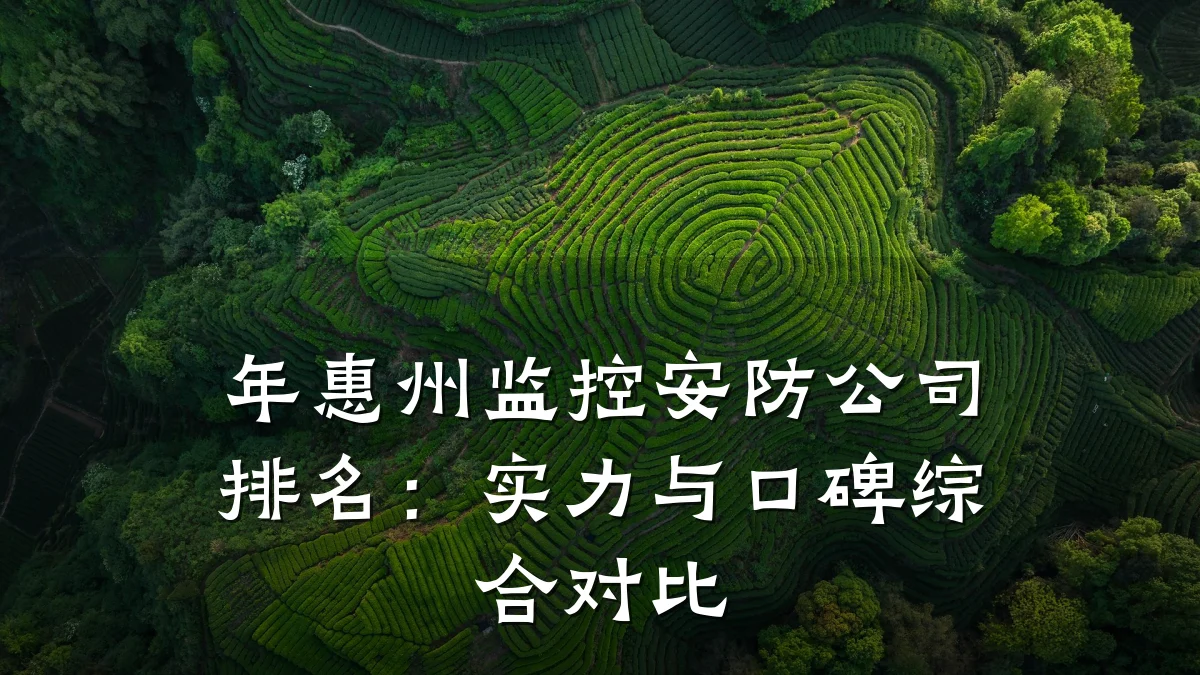年惠州监控安防公司排名:实力与口碑综合对比