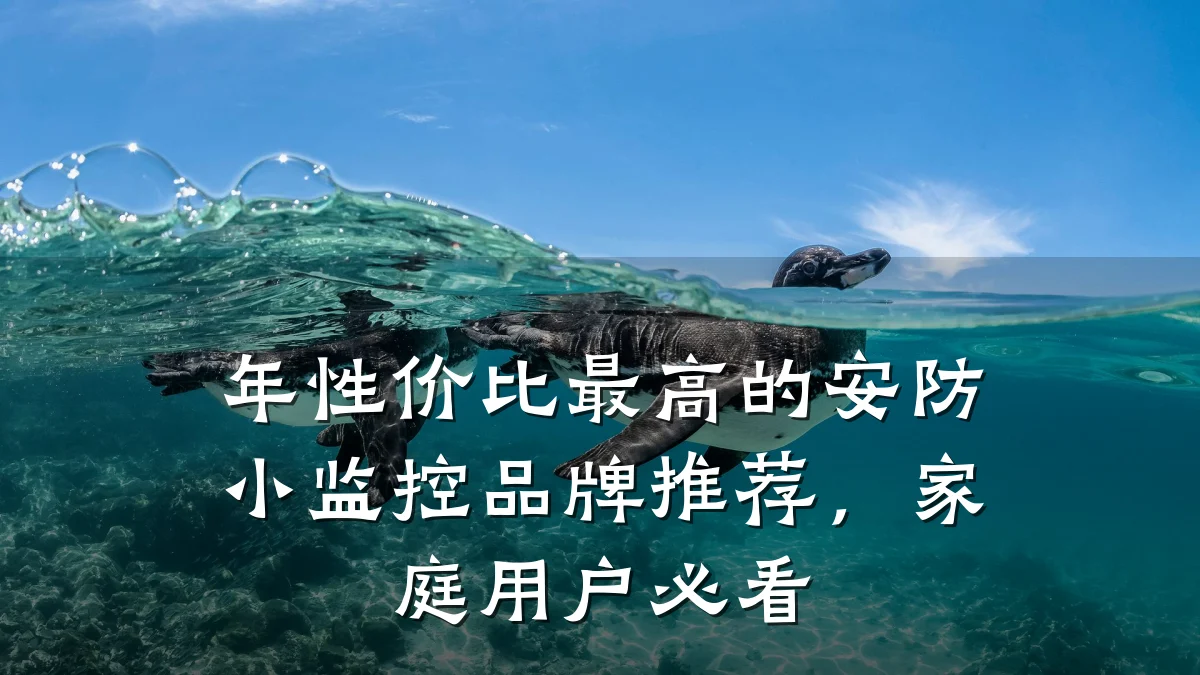 年性价比最高的安防小监控品牌推荐,家庭用户必看