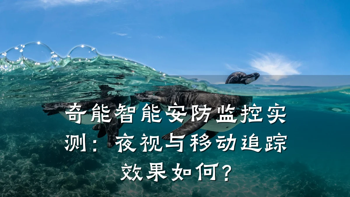 奇能智能安防监控实测:夜视与移动追踪效果如何?