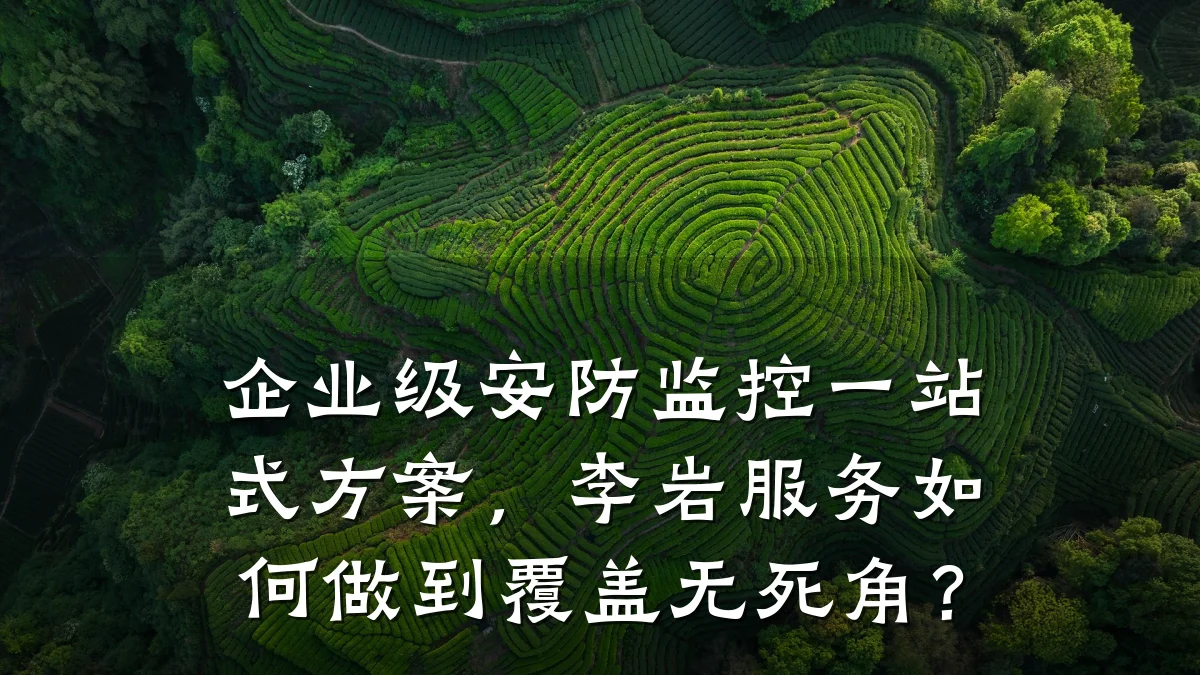 企业级安防监控一站式方案,李岩服务如何做到覆盖无死角?