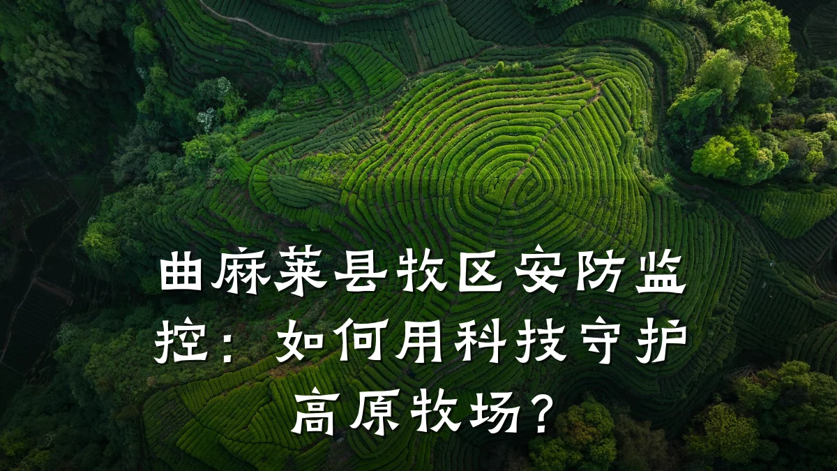 曲麻莱县牧区安防监控:如何用科技守护高原牧场?