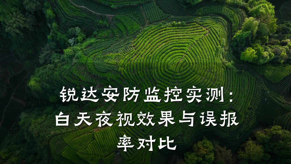 锐达安防监控实测:白天夜视效果与误报率对比