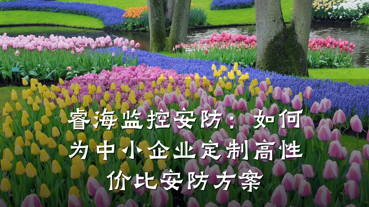 睿海监控安防:如何为中小企业定制高性价比安防方案