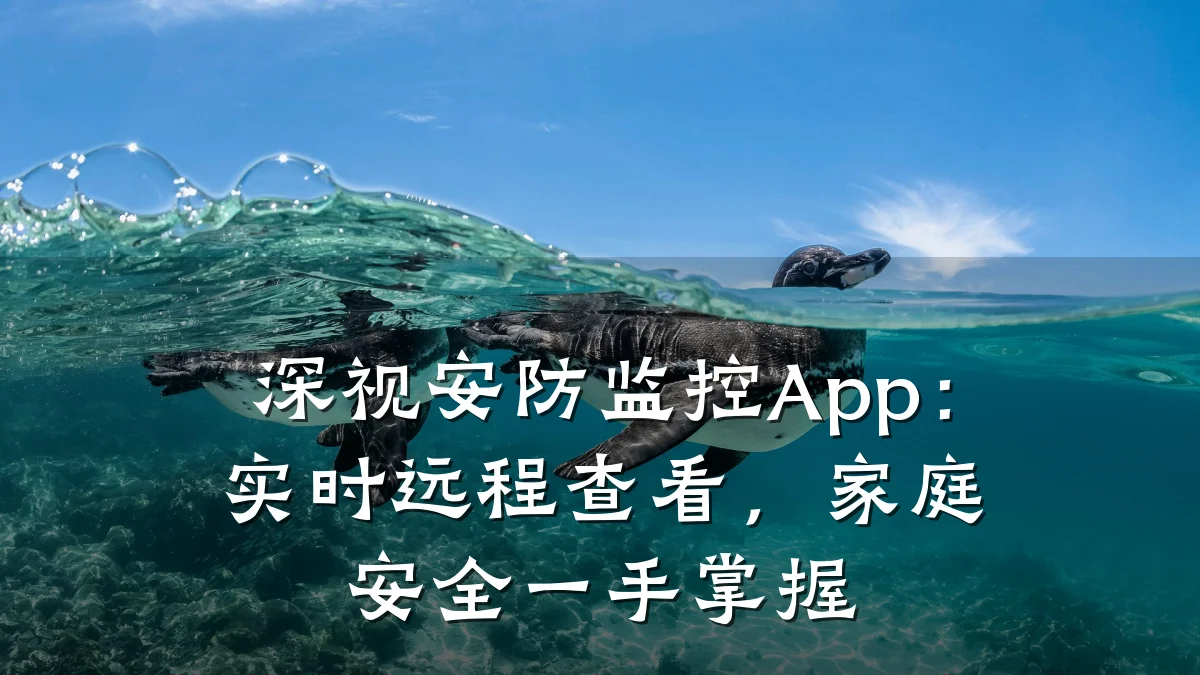深视安防监控App：实时远程查看，家庭安全一手掌握