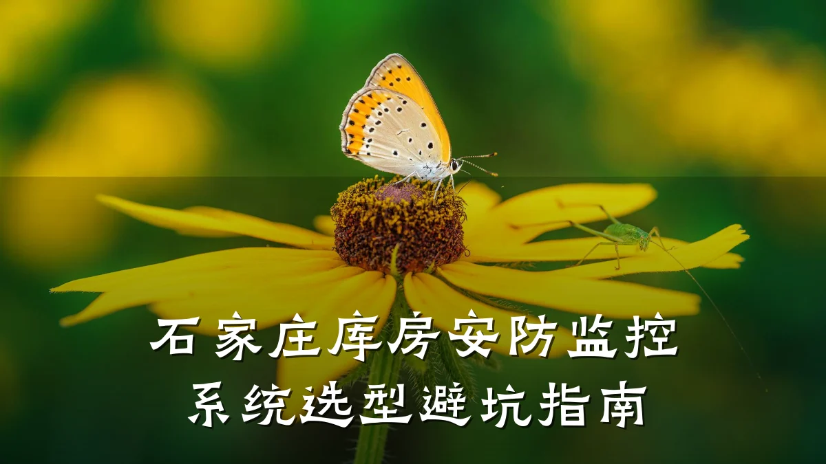 石家庄库房安防监控系统选型避坑指南
