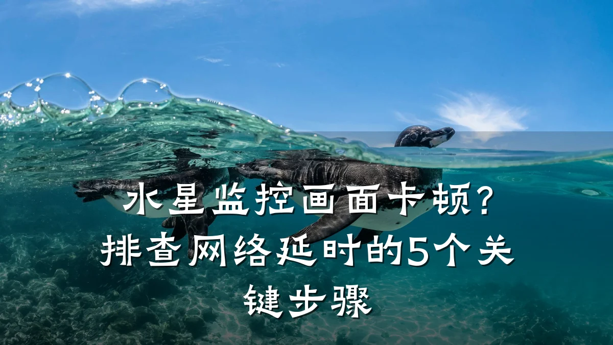 水星监控画面卡顿?排查网络延时的5个关键步骤