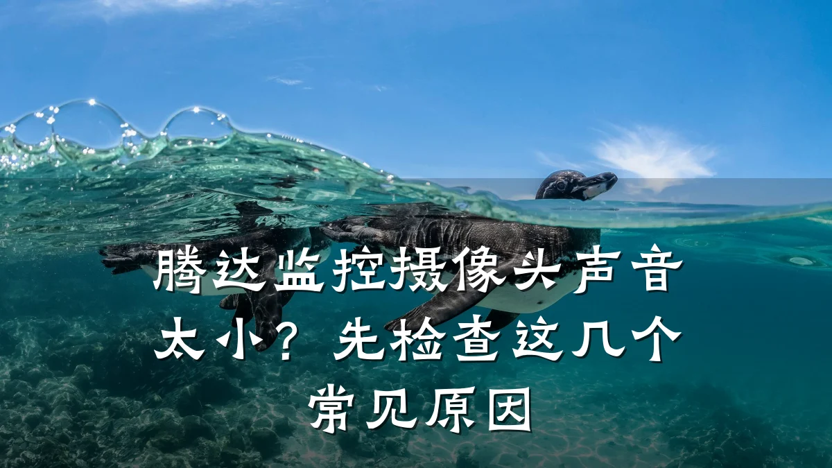 腾达监控摄像头声音太小?先检查这几个常见原因