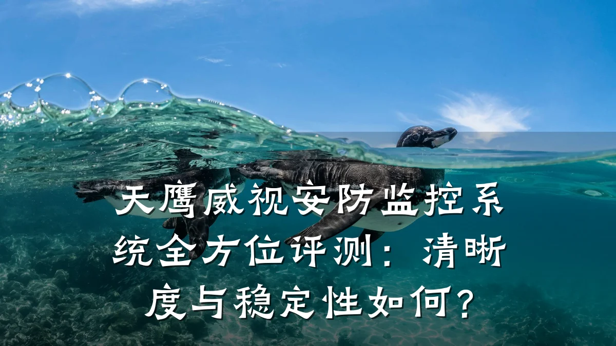 天鹰威视安防监控系统全方位评测:清晰度与稳定性如何?