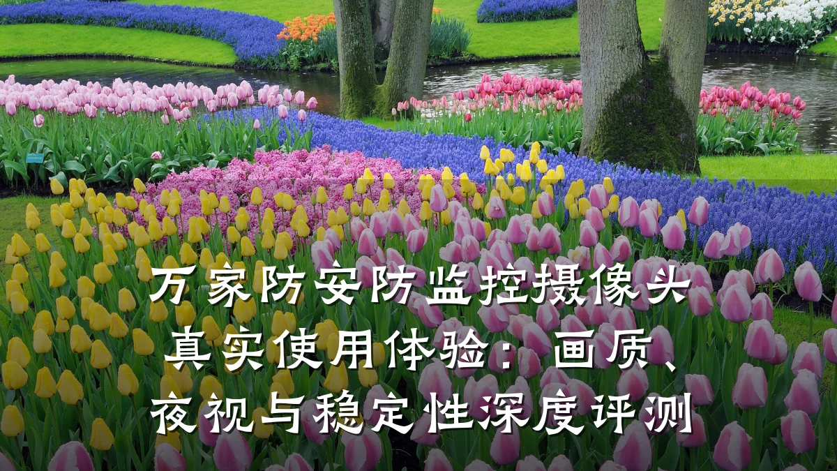 万家防安防监控摄像头真实使用体验:画质、夜视与稳定性深度评测