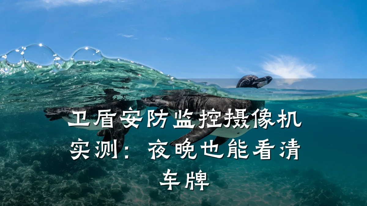 卫盾安防监控摄像机实测:夜晚也能看清车牌