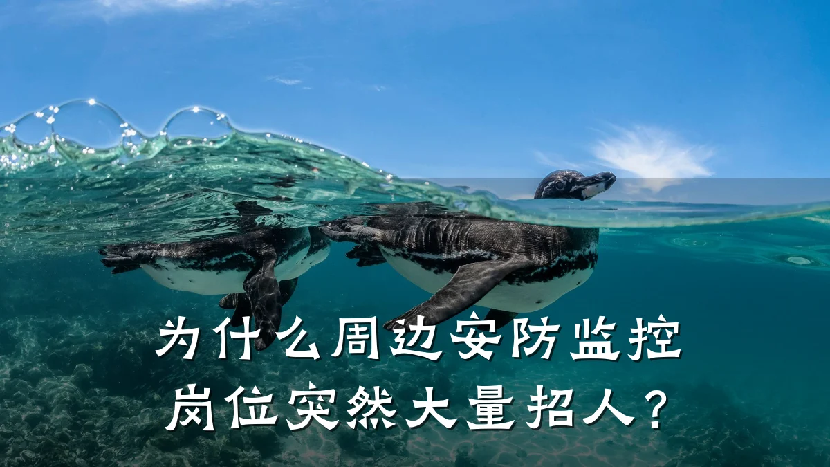 为什么周边安防监控岗位突然大量招人?