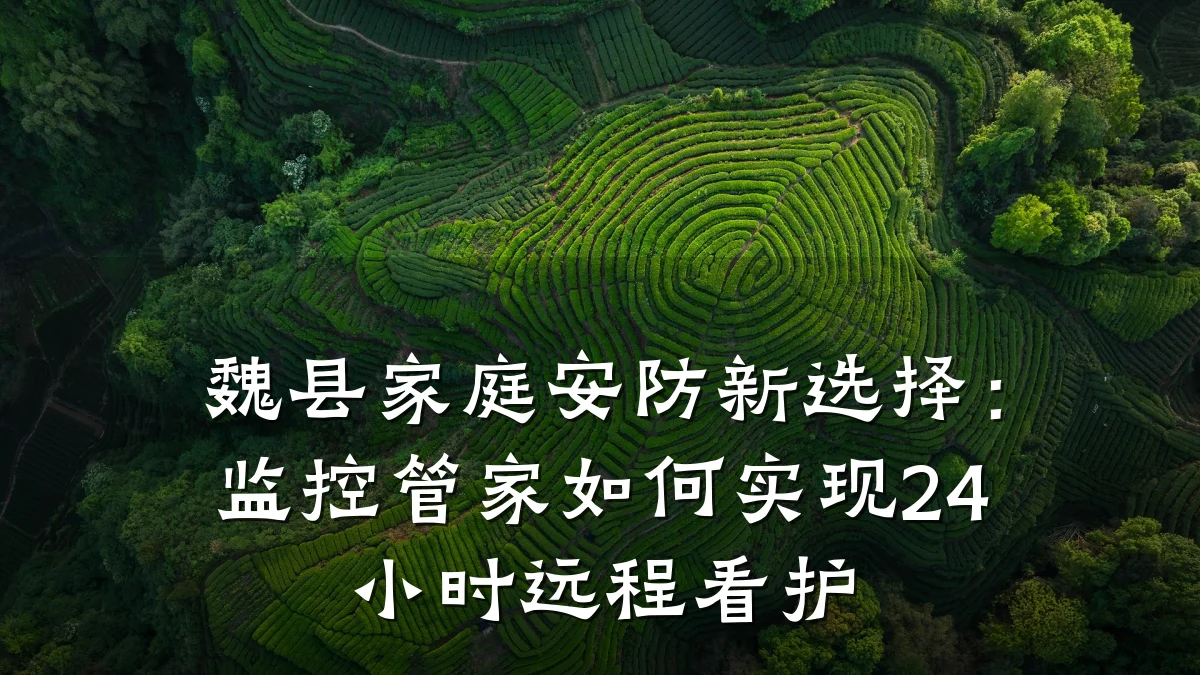 魏县家庭安防新选择：监控管家如何实现24小时远程看护