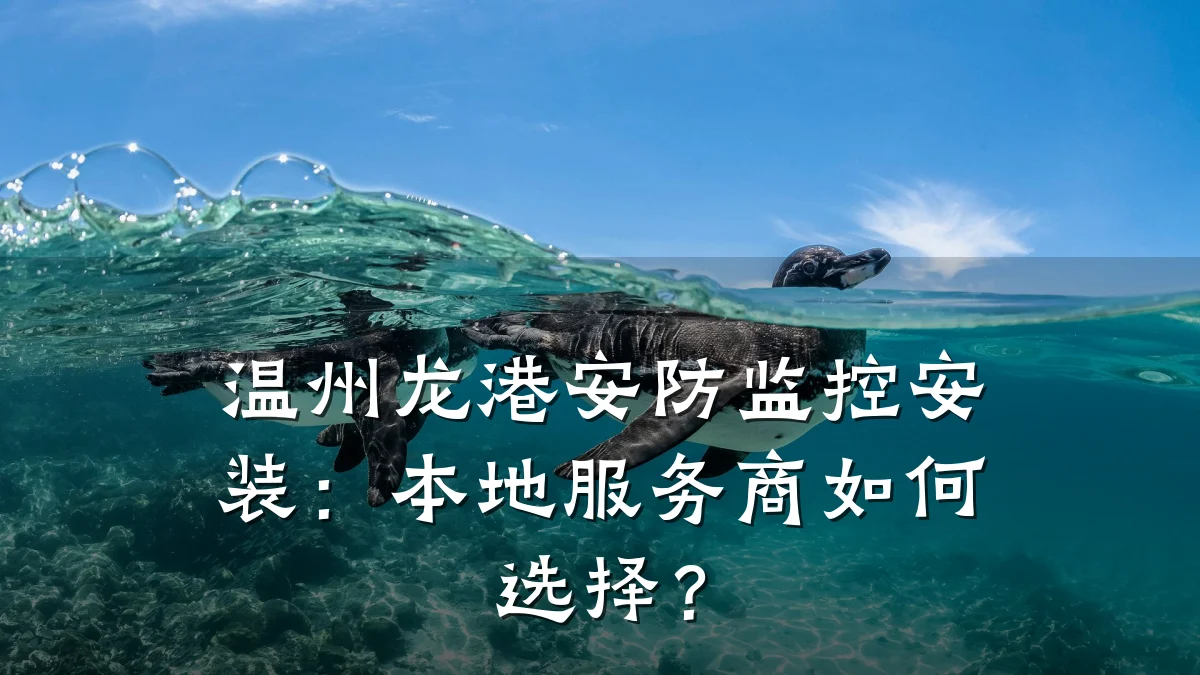 温州龙港安防监控安装:本地服务商如何选择?