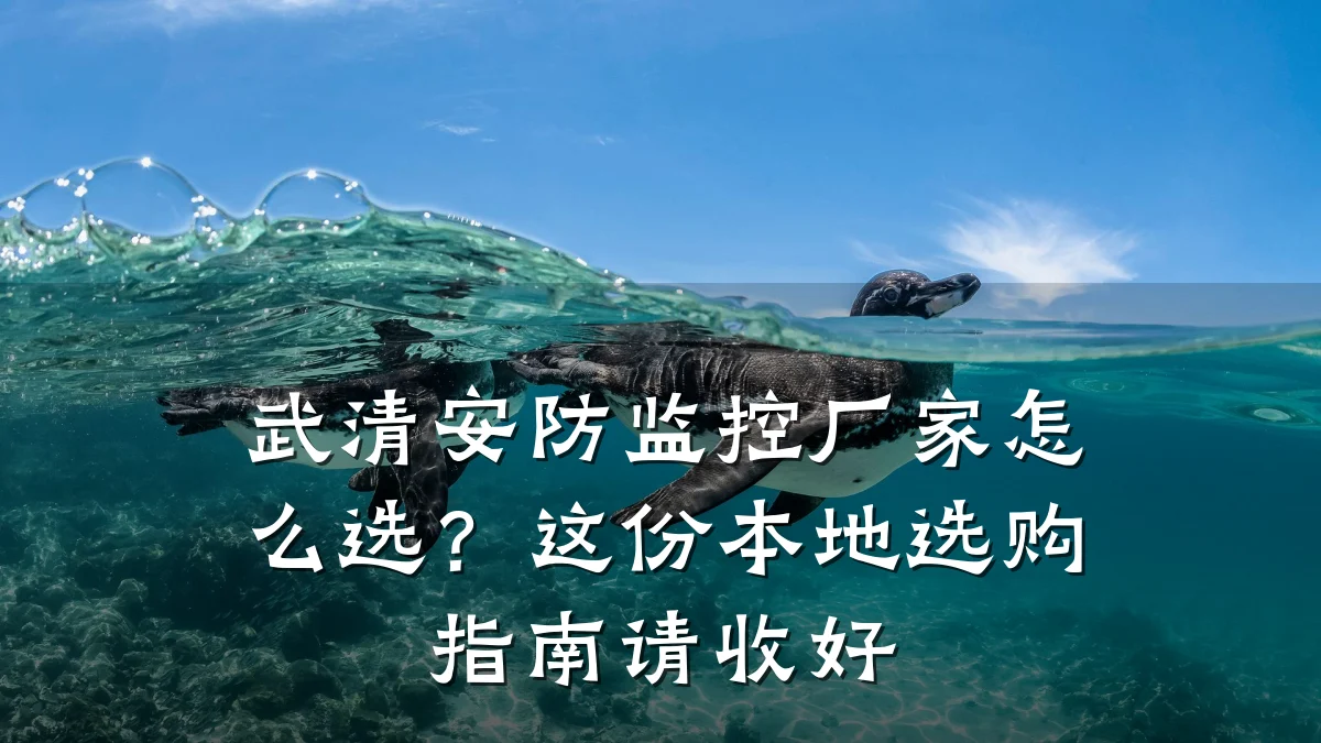 武清安防监控厂家怎么选?这份本地选购指南请收好