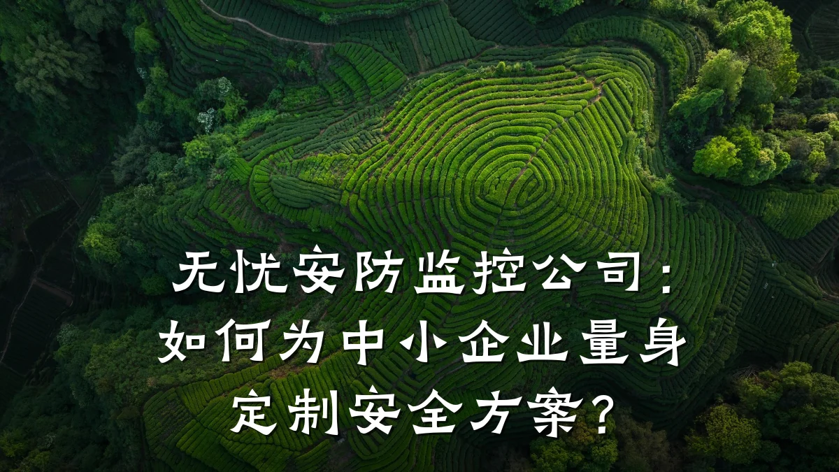 无忧安防监控公司:如何为中小企业量身定制安全方案?