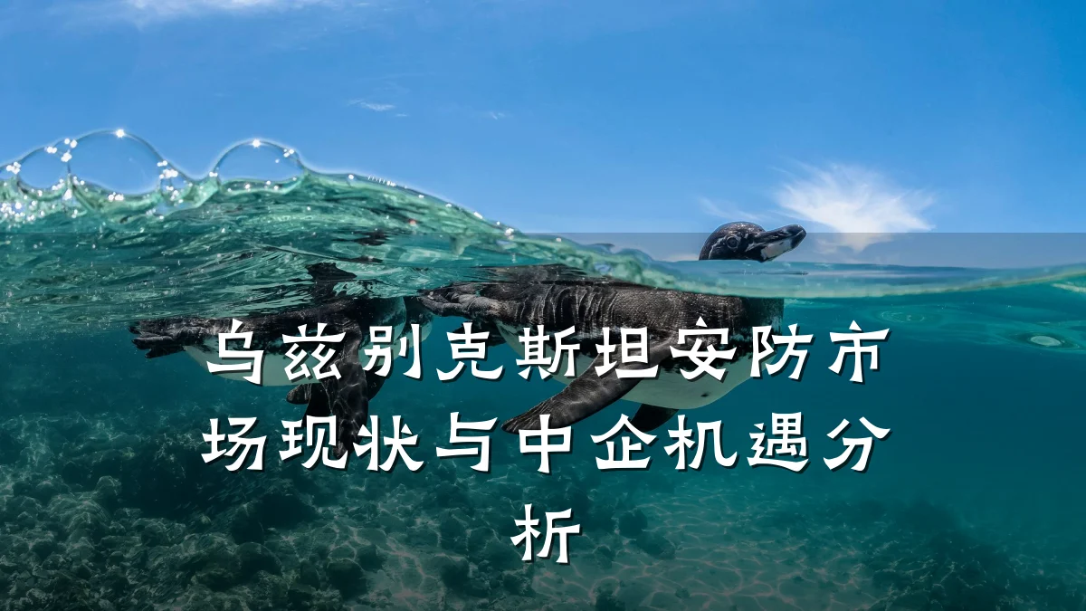 乌兹别克斯坦安防市场现状与中企机遇分析