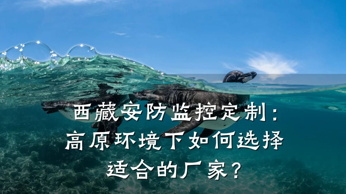 西藏安防监控定制:高原环境下如何选择适合的厂家?