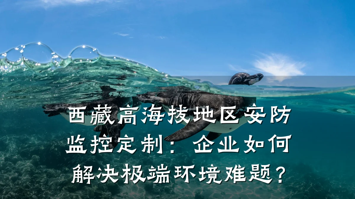 西藏高海拔地区安防监控定制:企业如何解决极端环境难题?