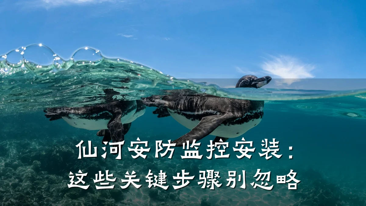 仙河安防监控安装：这些关键步骤别忽略