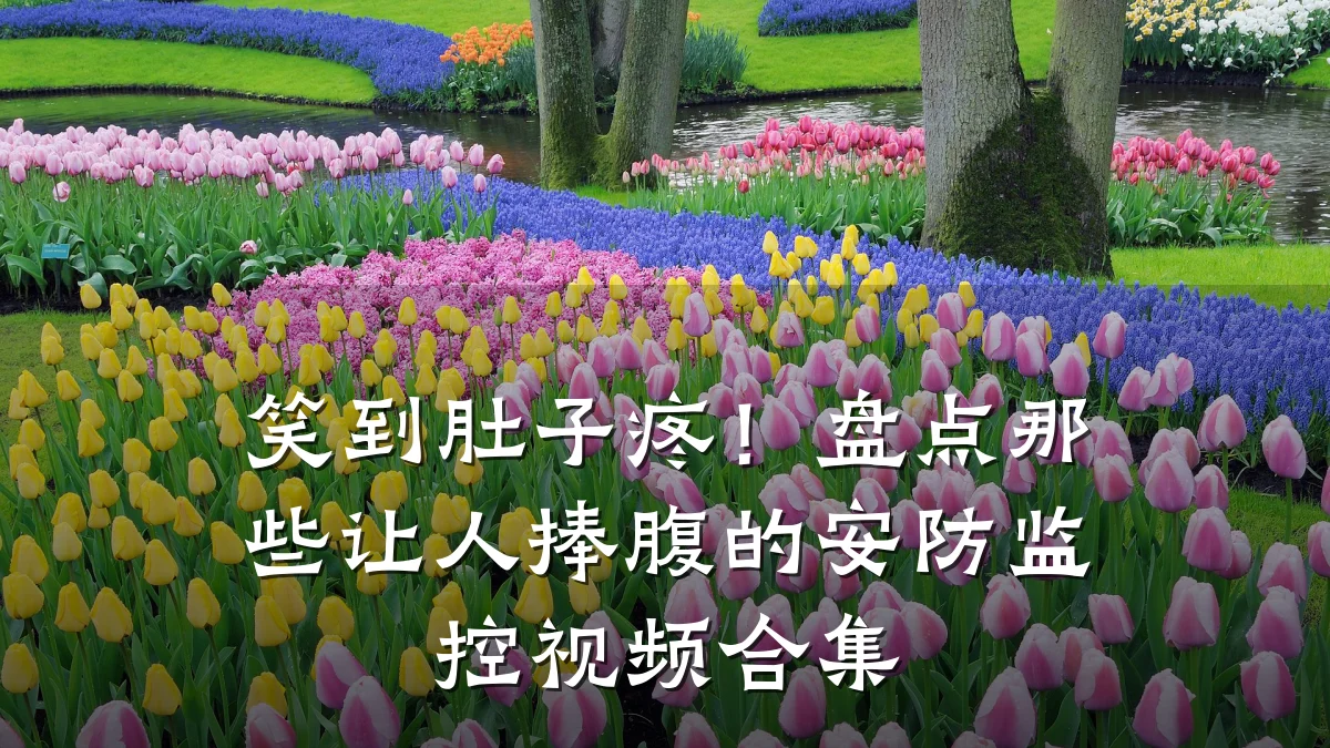 笑到肚子疼!盘点那些让人捧腹的安防监控视频合集