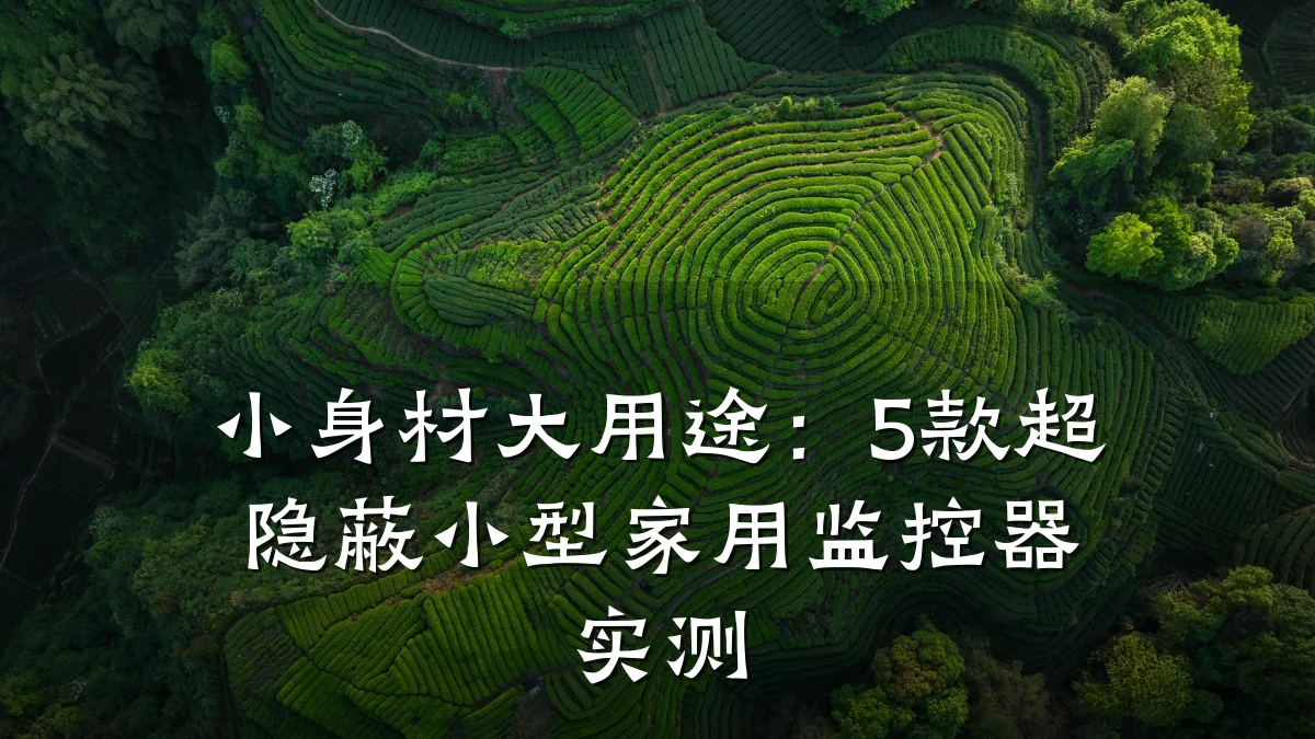 小身材大用途:5款超隐蔽小型家用监控器实测
