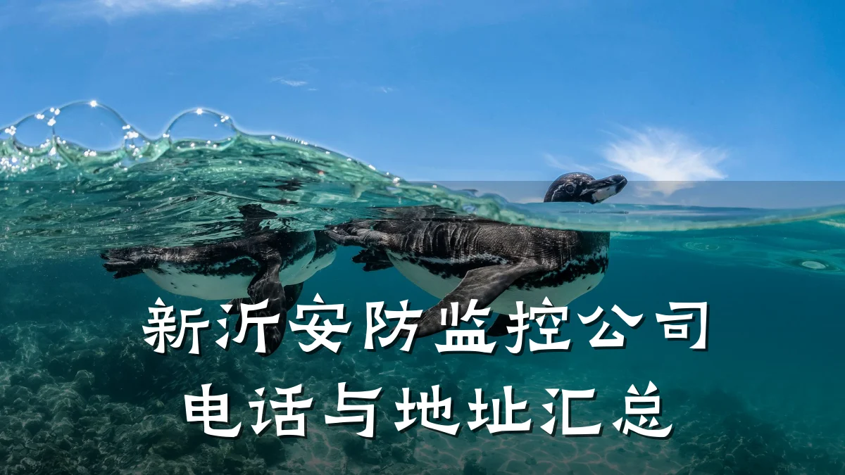 新沂安防监控公司电话与地址汇总