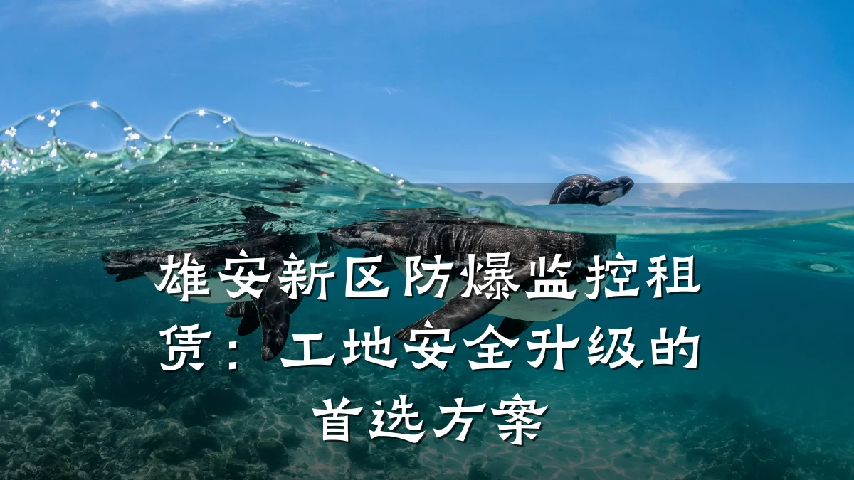 雄安新区防爆监控租赁:工地安全升级的首选方案