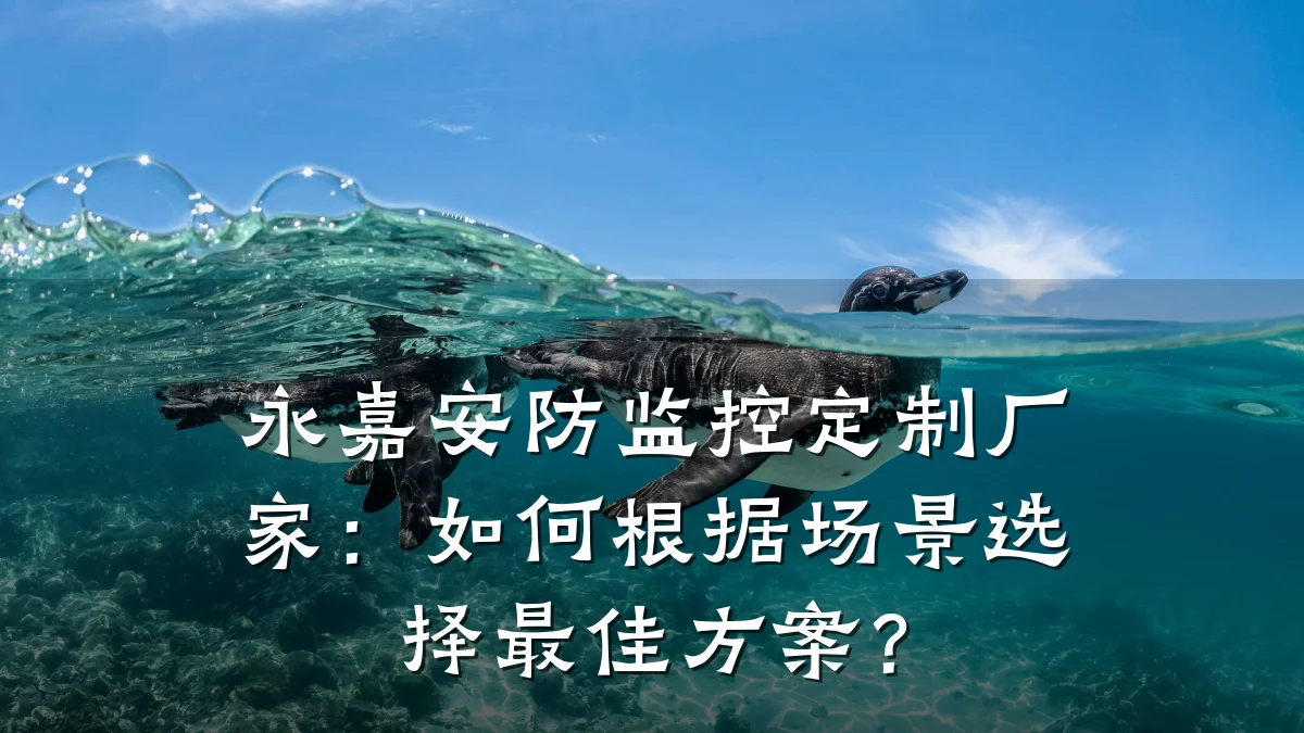 永嘉安防监控定制厂家:如何根据场景选择最佳方案?