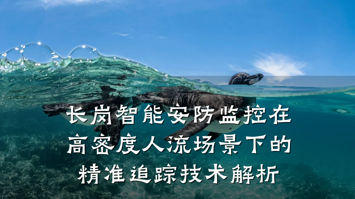 长岗智能安防监控在高密度人流场景下的精准追踪技术解析