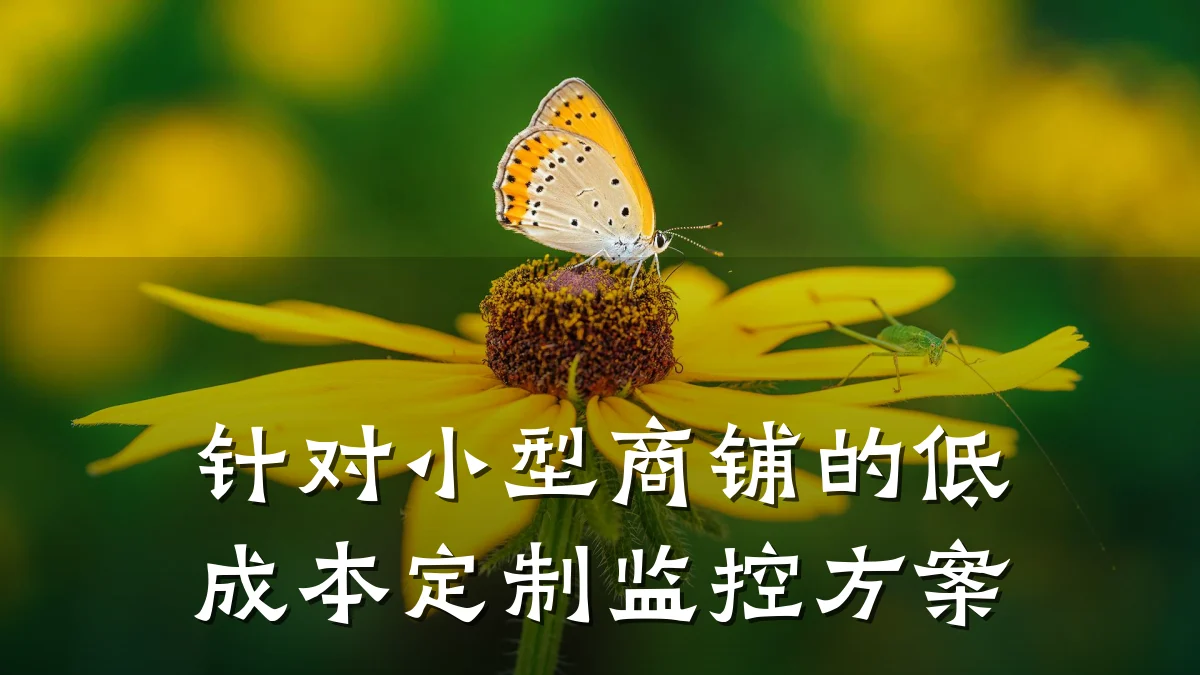 针对小型商铺的低成本定制监控方案