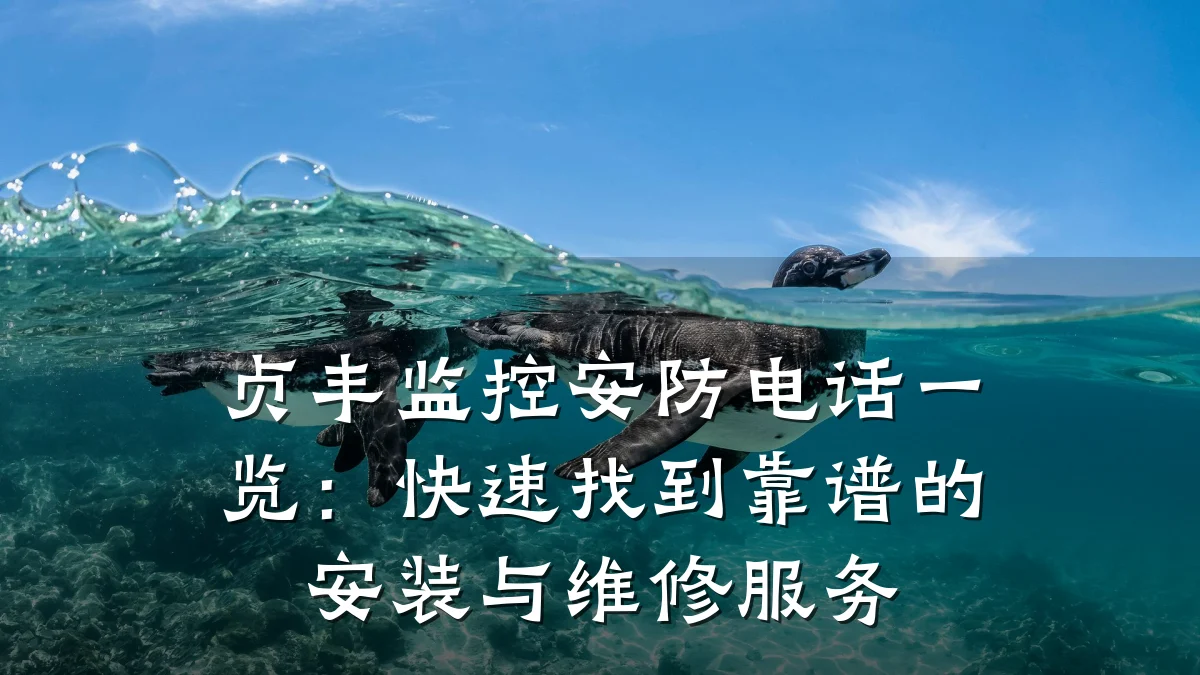 贞丰监控安防电话一览:快速找到靠谱的安装与维修服务