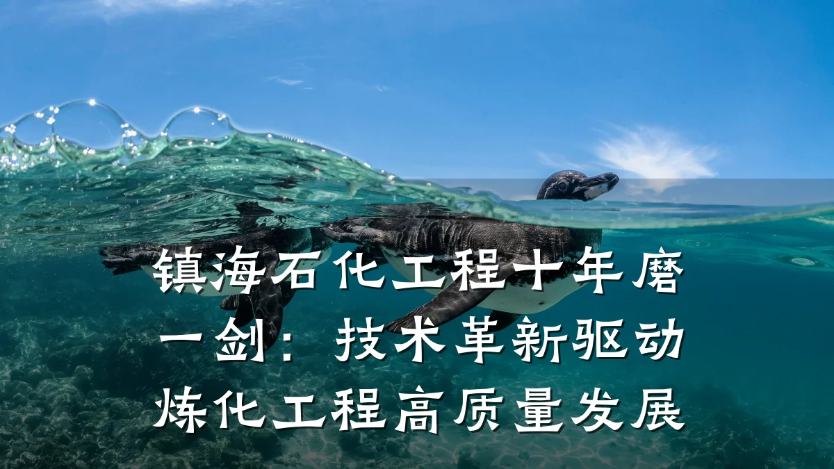 镇海石化工程十年磨一剑:技术革新驱动炼化工程高质量发展