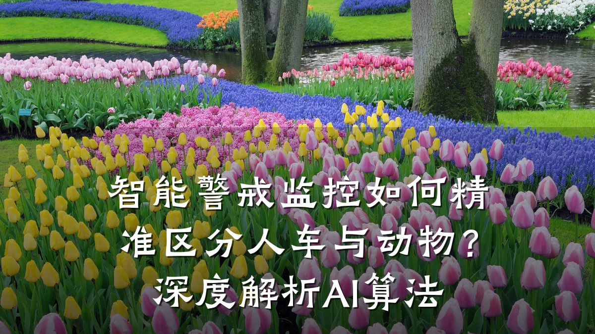 智能警戒监控如何精准区分人车与动物?深度解析AI算法