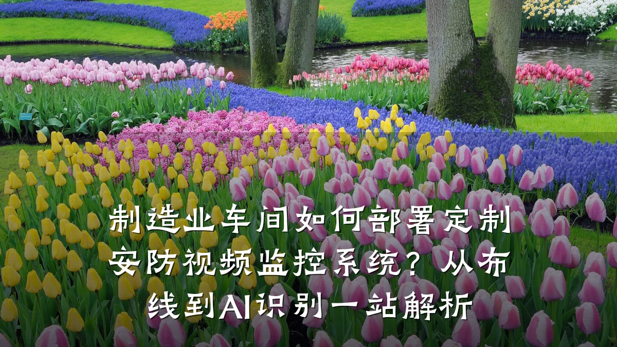 制造业车间如何部署定制安防视频监控系统？从布线到AI识别一站解析
