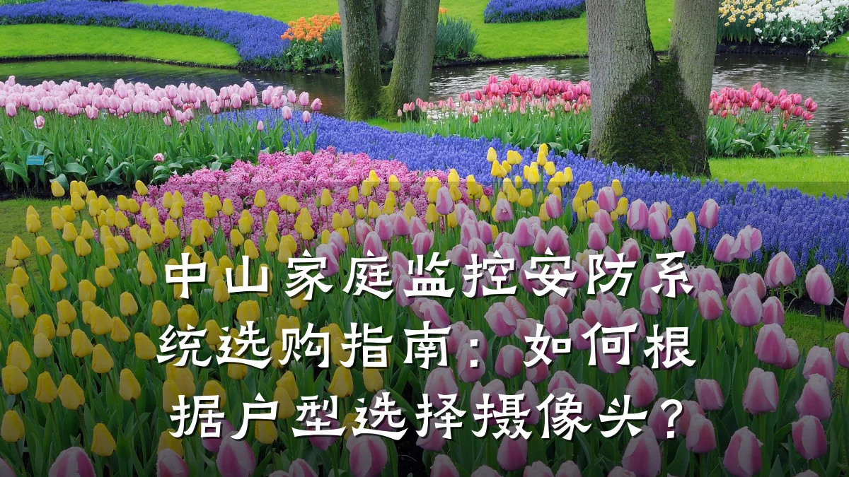 中山家庭监控安防系统选购指南：如何根据户型选择摄像头？