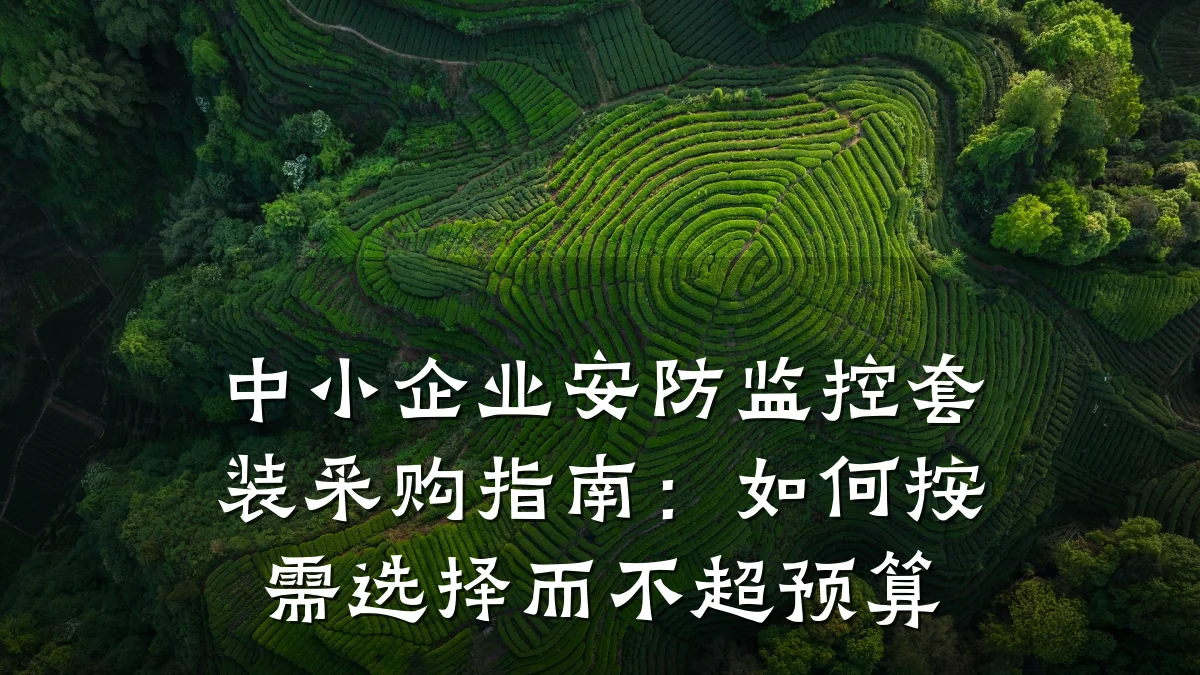 中小企业安防监控套装采购指南：如何按需选择而不超预算