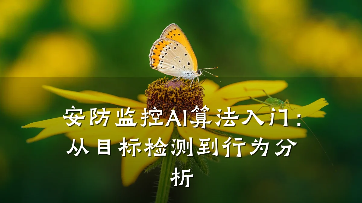 安防监控AI算法入门:从目标检测到行为分析