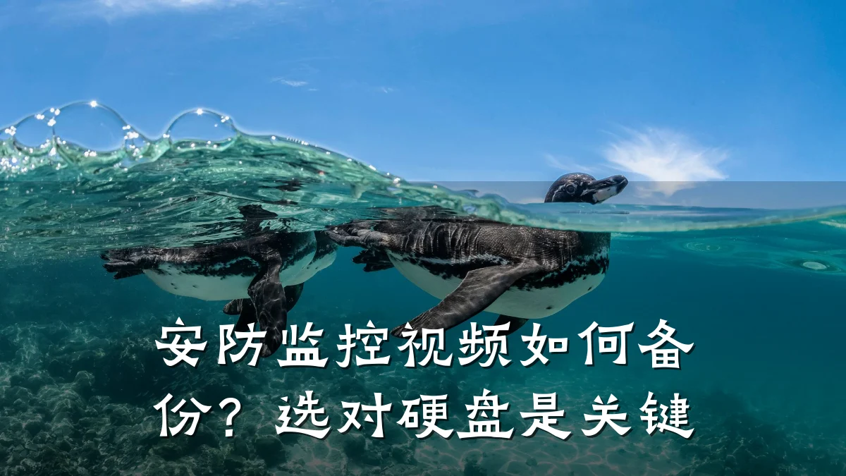 安防监控视频如何备份?选对硬盘是关键